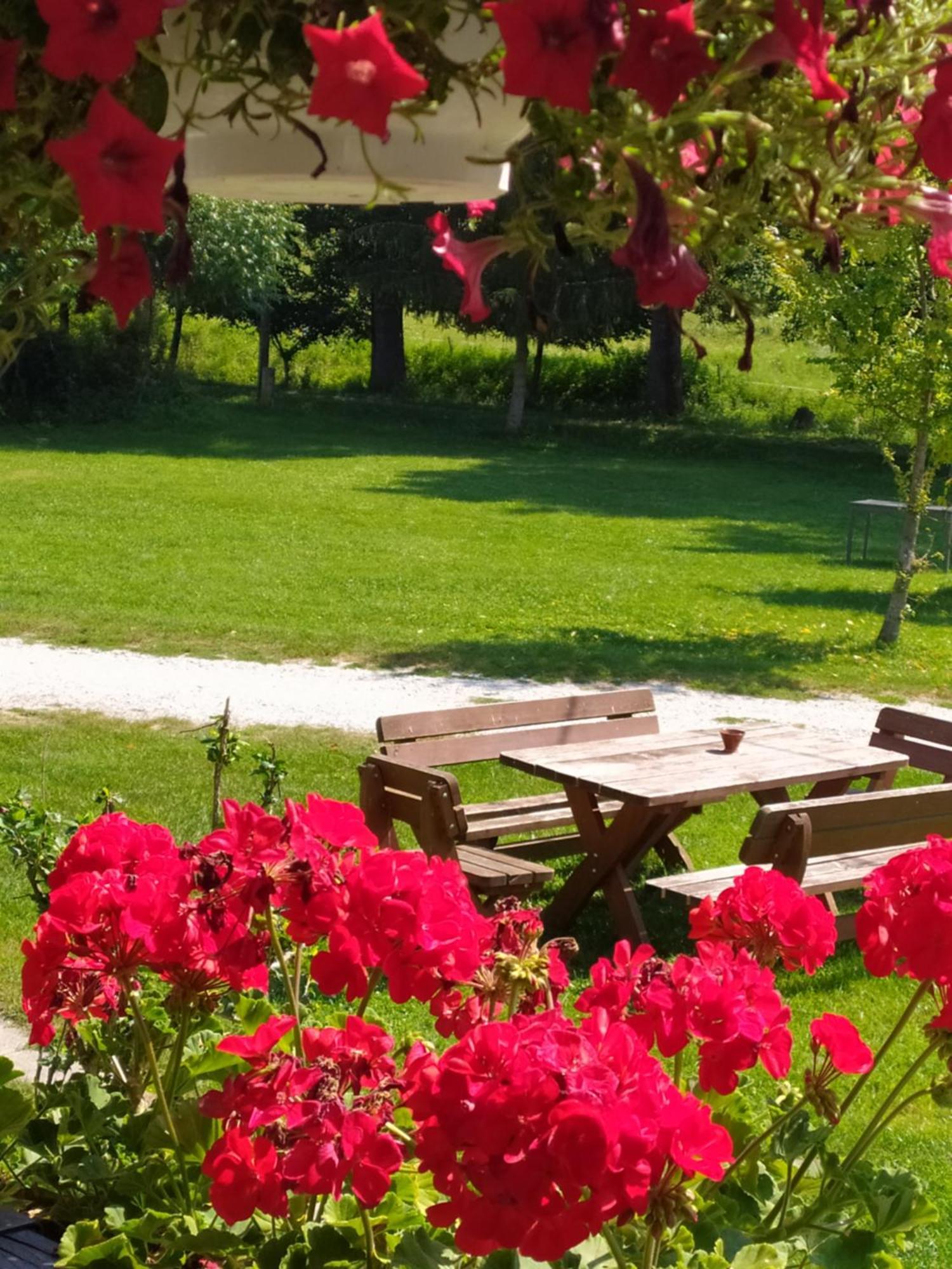 Panzió-Kemping Bekölce Bekolce Quarto foto